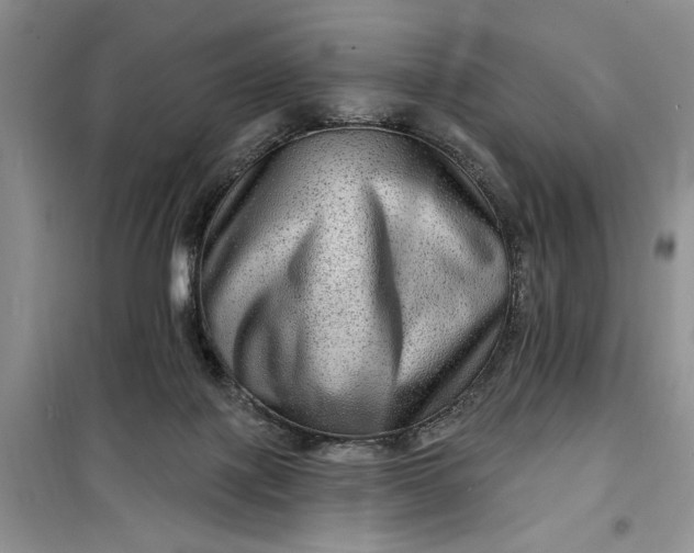 X0000099500075200805291137