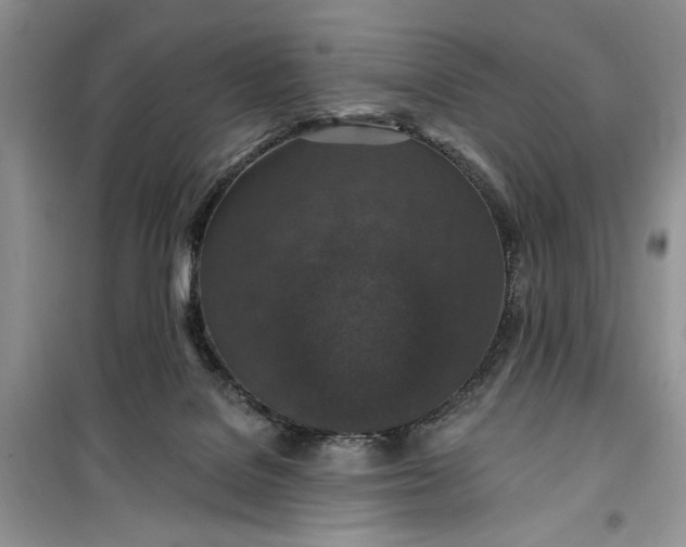 X0000099500076200805291137