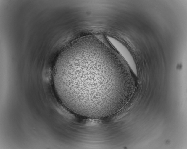 X0000099500077200805291137