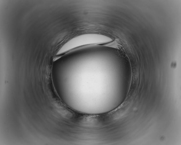 X0000099500078200805291137