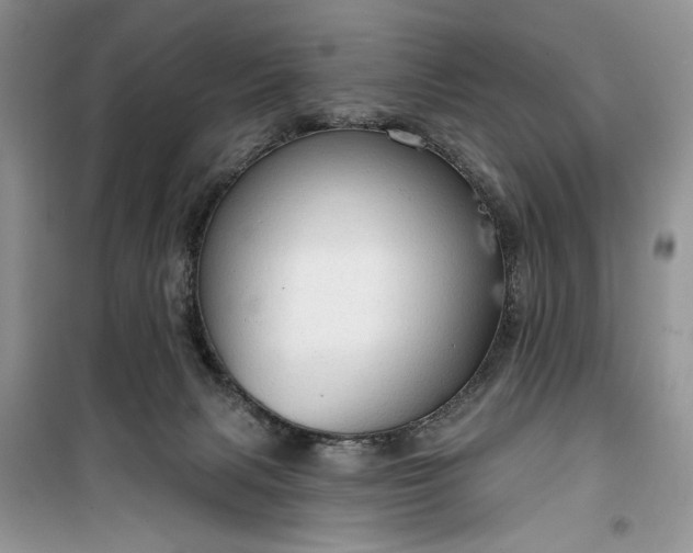 X0000099500079200805291137