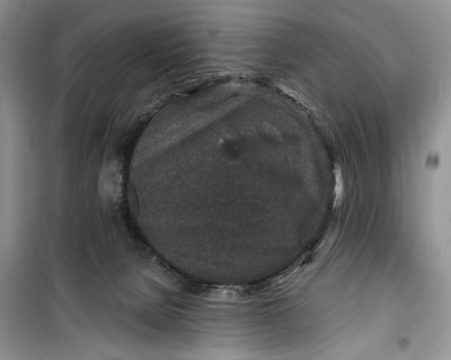 X0000099500080200805291137