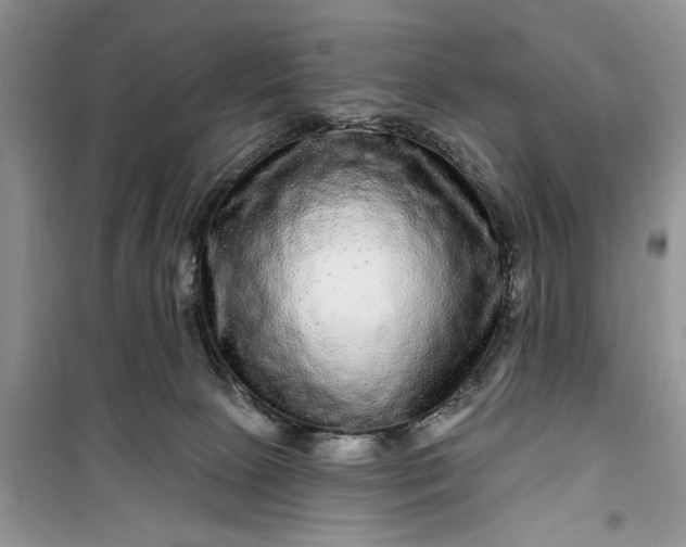 X0000099500081200805291137