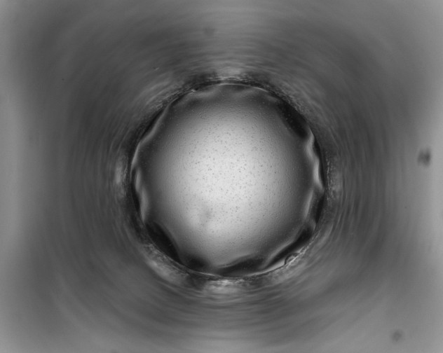 X0000099500082200805291137