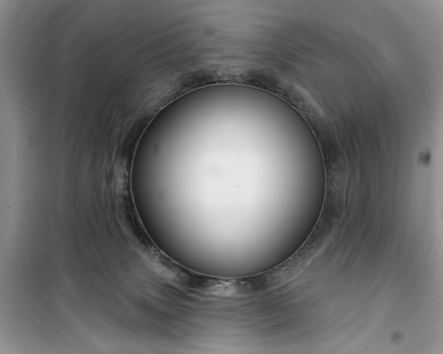 X0000099500083200805291137