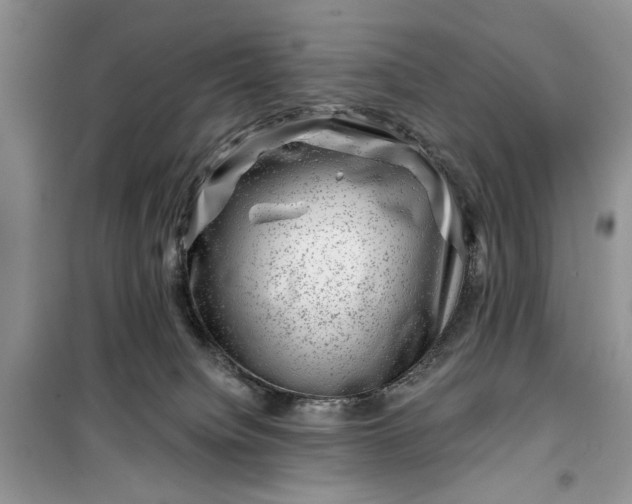 X0000099500084200805291137