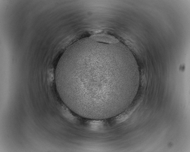 X0000099500085200805291137