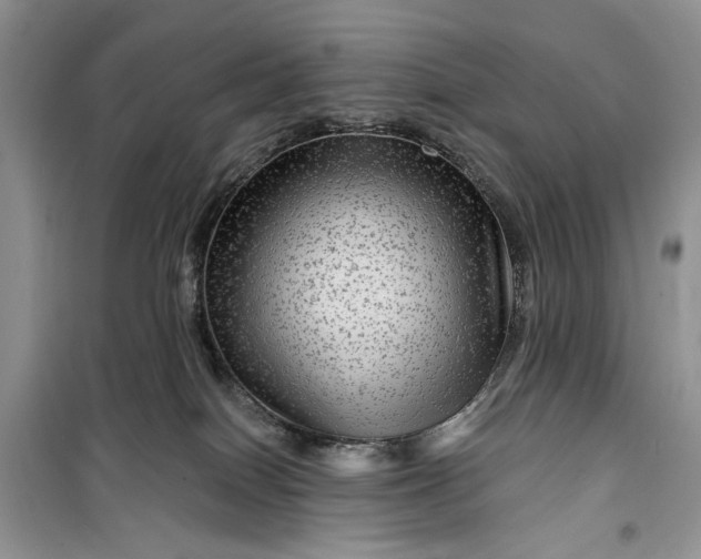 X0000099500086200805291137