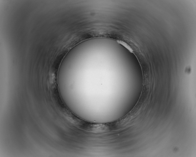 X0000099500087200805291137