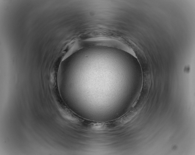 X0000099500088200805291137