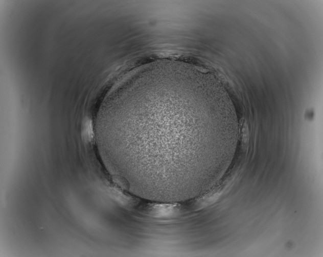 X0000099500089200805291137