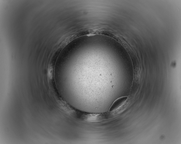 X0000099500090200805291137