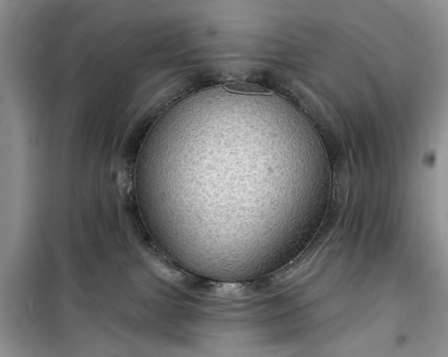 X0000099500091200805291137