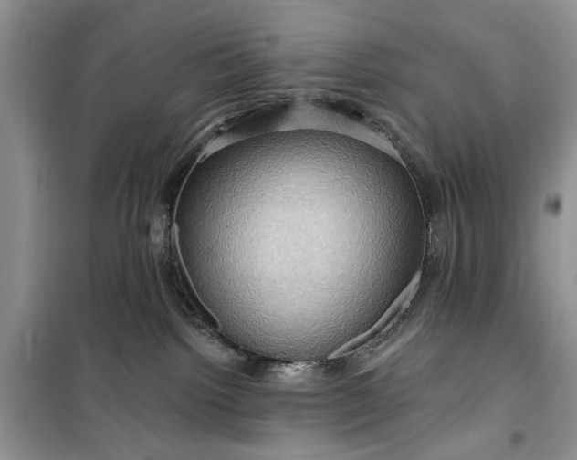 X0000099500092200805291137