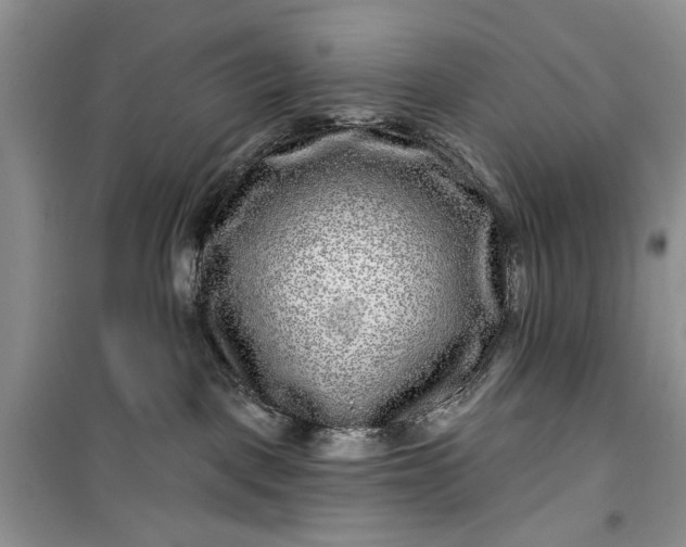 X0000099500093200805291137