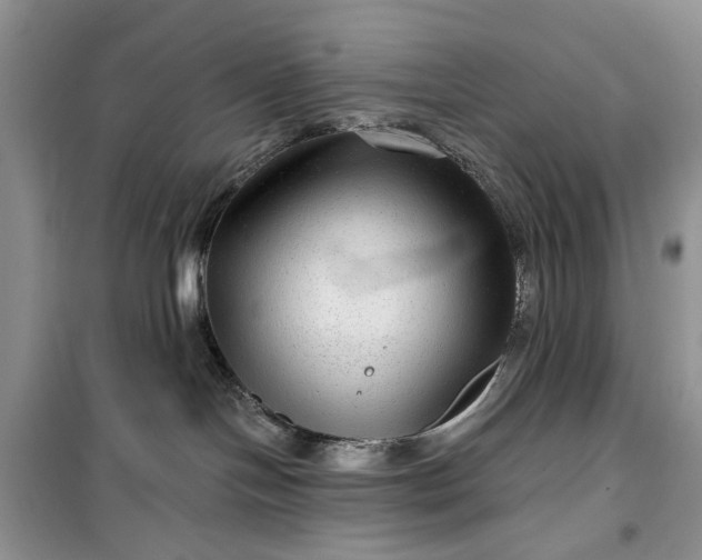 X0000099500094200805291137