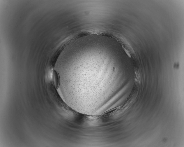 X0000099500095200805291137