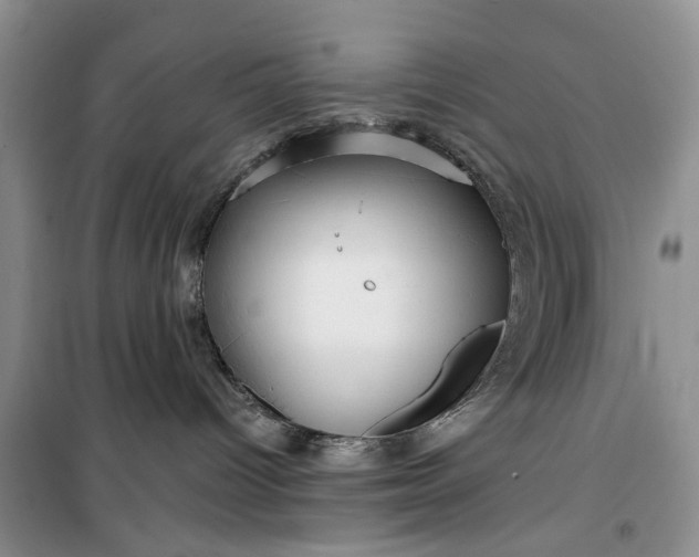 X0000099500096200805291137