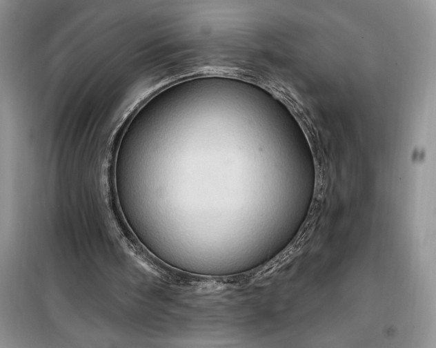 X0000099500098200805291137