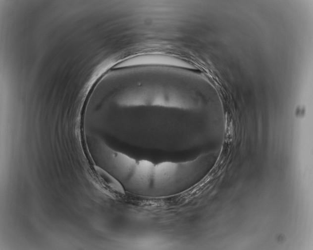 X0000099500099200805291137