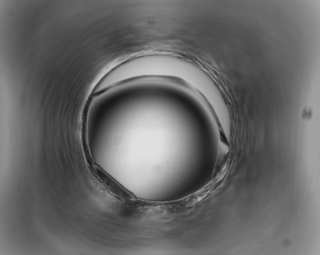 X0000099500100200805291136