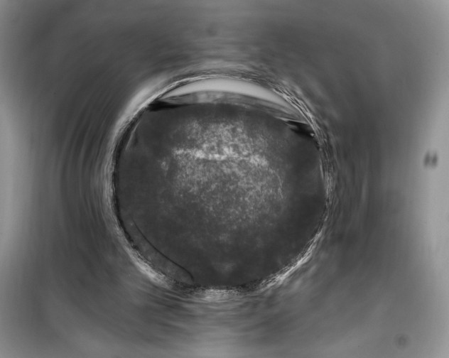 X0000099500101200805291136