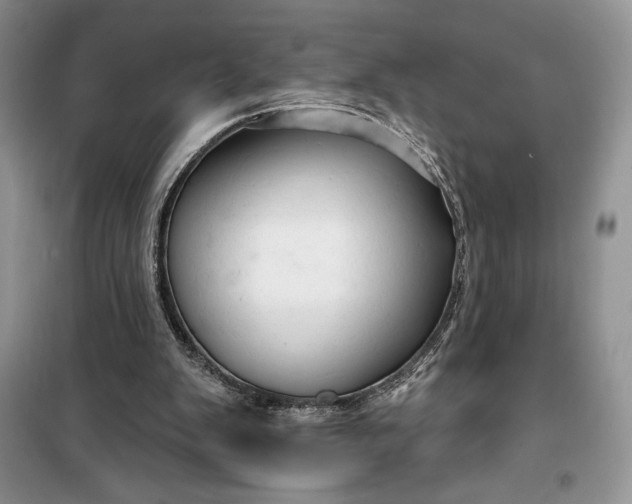 X0000099500103200805291136