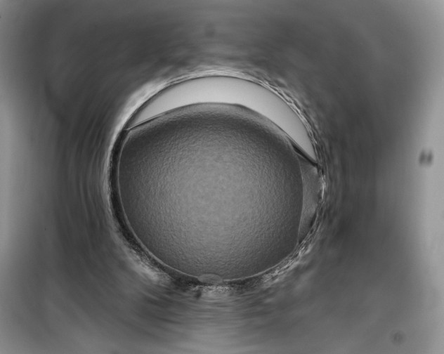 X0000099500104200805291136