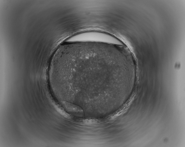 X0000099500105200805291136