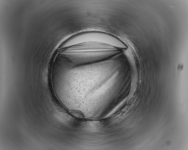 X0000099500108200805291136