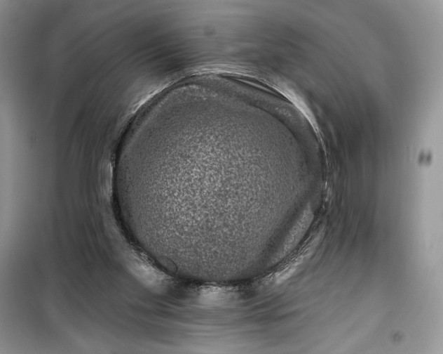 X0000099500109200805291136