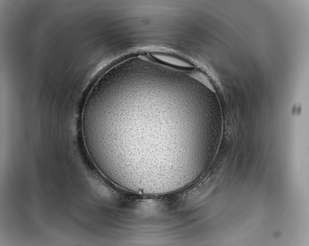 X0000099500111200805291136