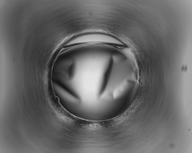 X0000099500112200805291136