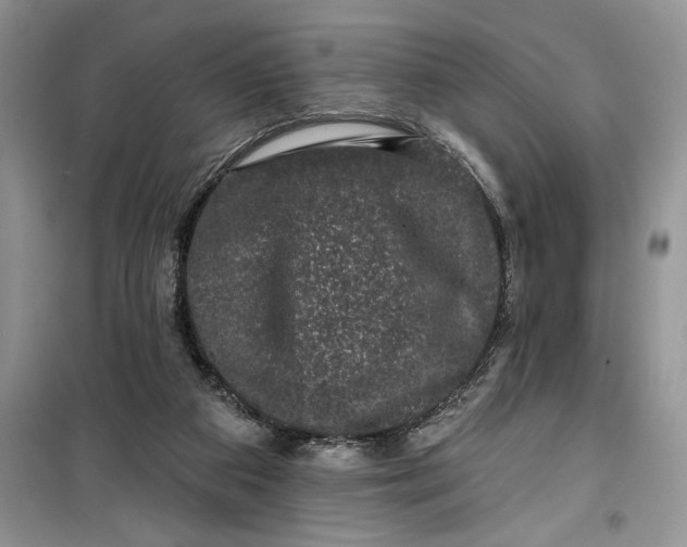 X0000099500113200805291136