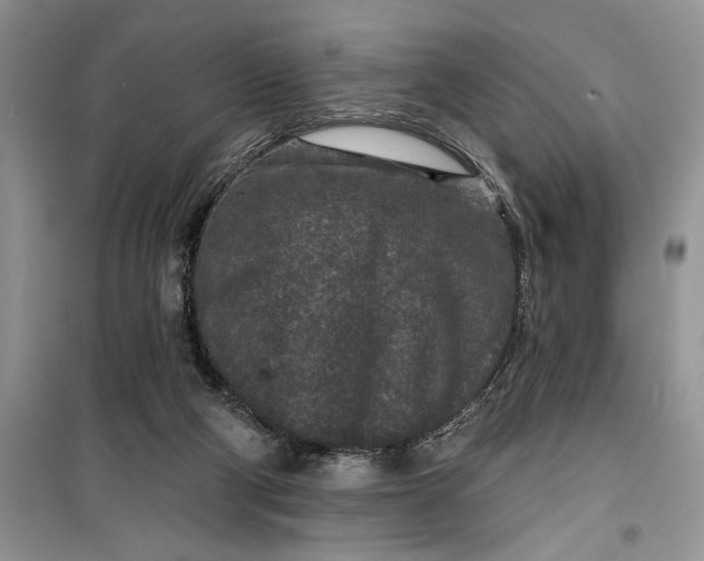 X0000099500114200805291136