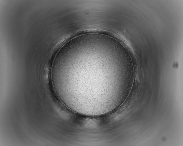 X0000099500115200805291136