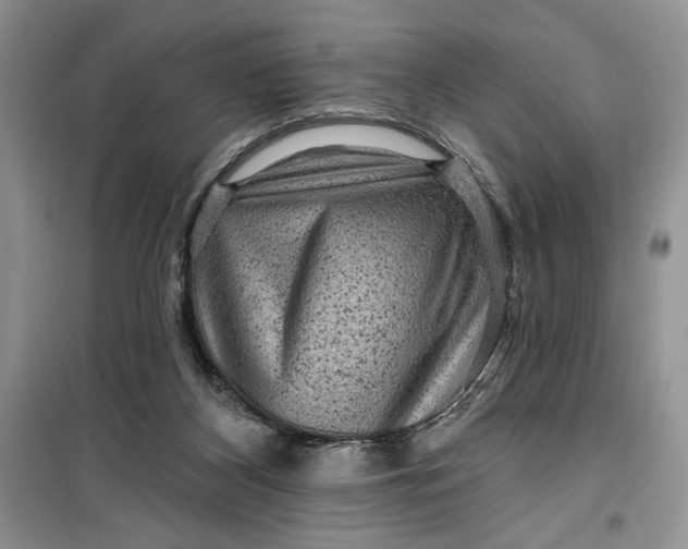 X0000099500116200805291136