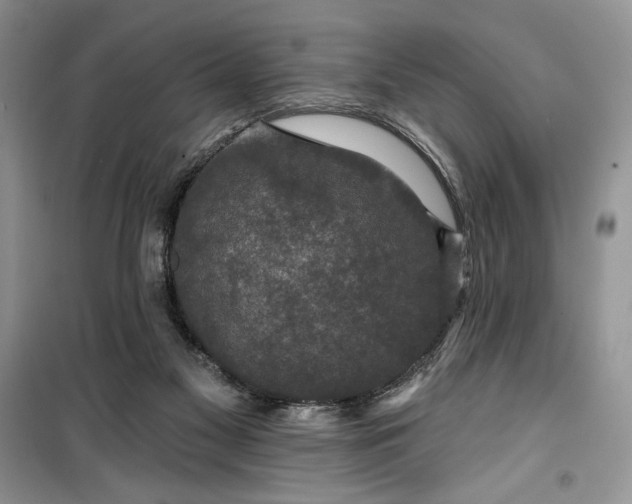 X0000099500117200805291136