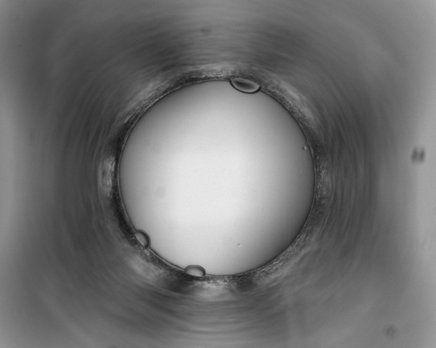 X0000099500118200805291136