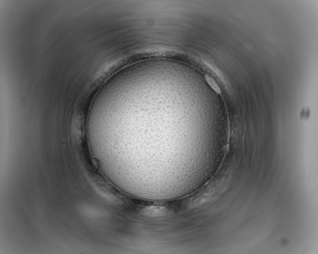 X0000099500119200805291136