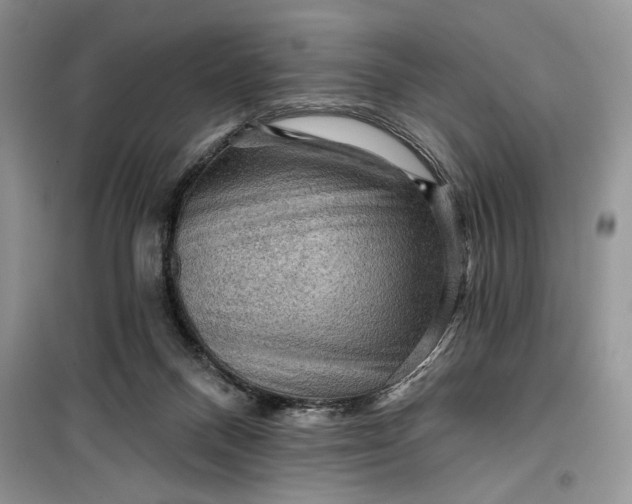 X0000099500120200805291136