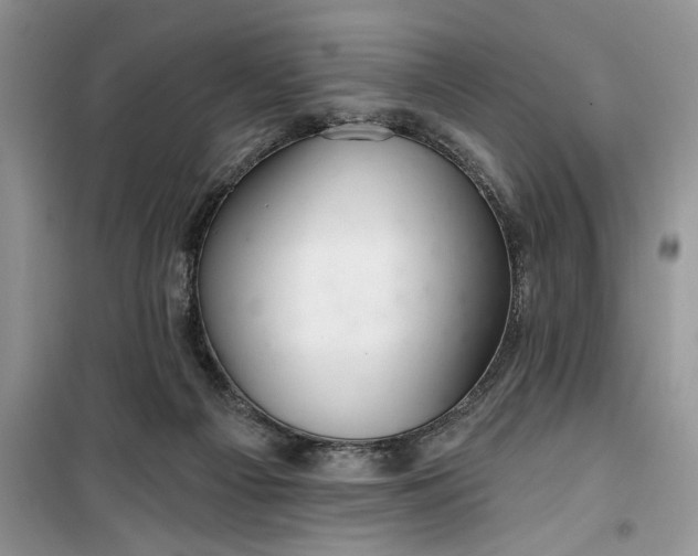 X0000099500121200805291136