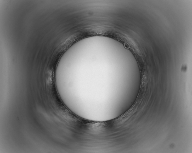 X0000099500122200805291136