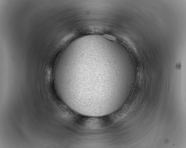 X0000099500123200805291136