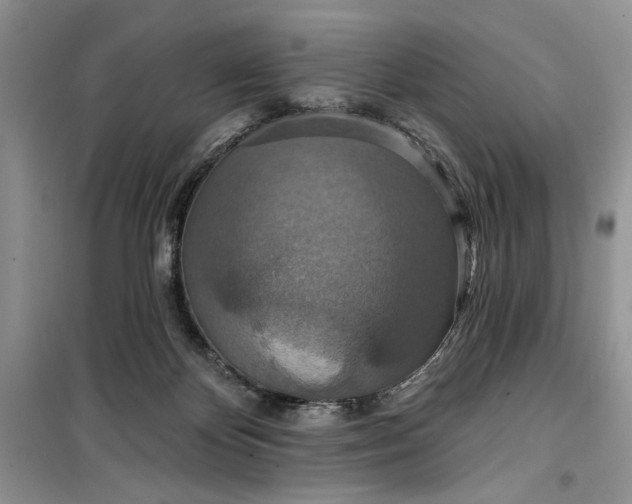 X0000099500124200805291136