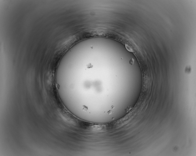 X0000099500126200805291136