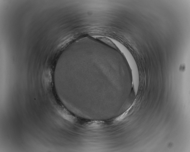 X0000099500128200805291136