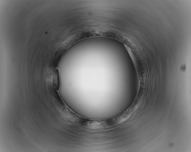 X0000099500129200805291136