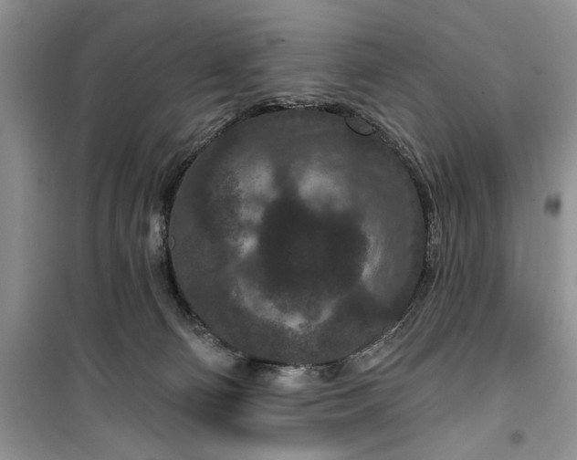 X0000099500130200805291136