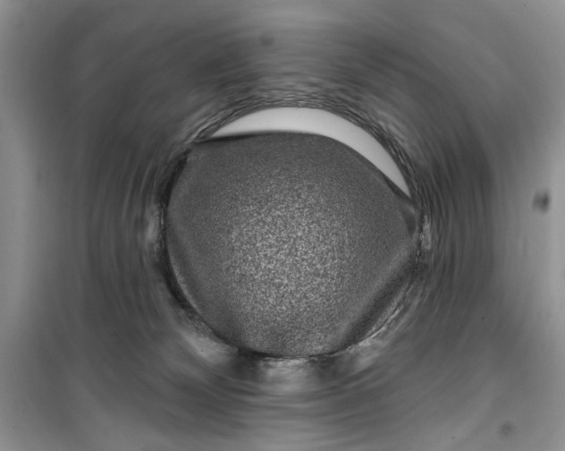 X0000099500132200805291136